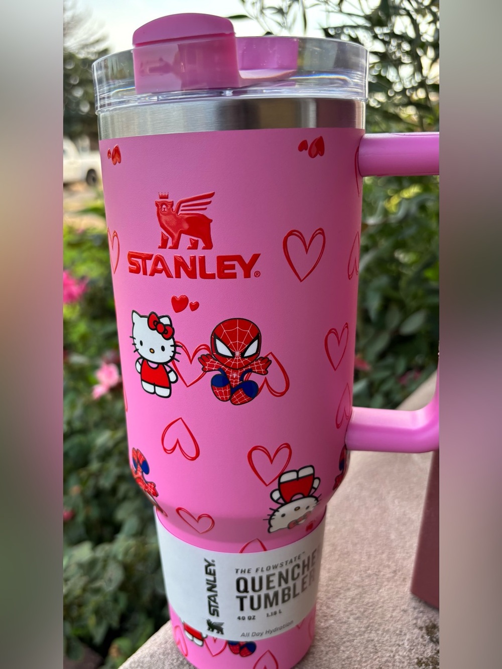 Hello Kitty  and Spider-man 40oz Stanley Tumbler